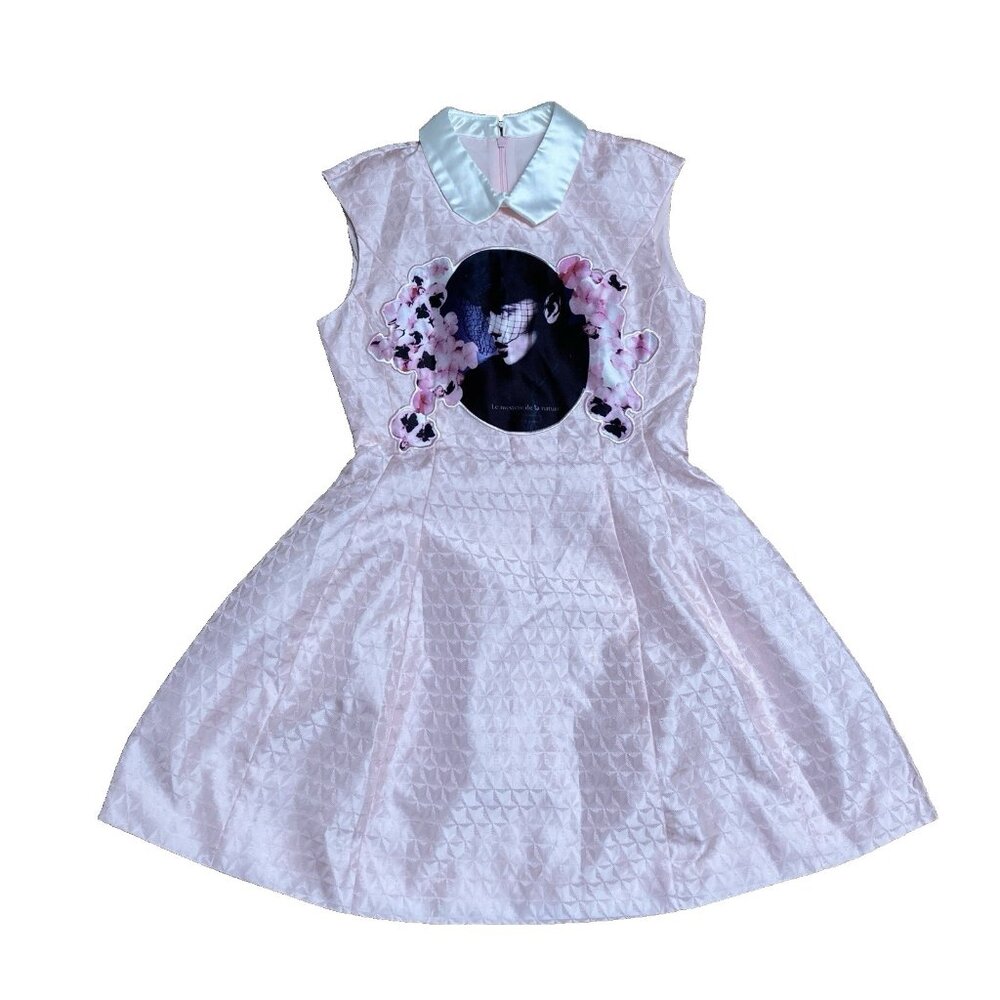 Peacebird Womens Dress Size Small Pink Fit And Flare